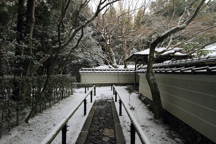 雪の高桐院(大徳寺塔頭)_e0051888_21335131.jpg
