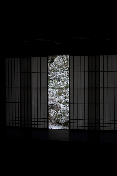雪の高桐院(大徳寺塔頭)_e0051888_2133627.jpg
