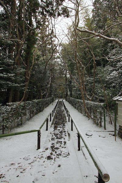 雪の高桐院(大徳寺塔頭)_e0051888_21342875.jpg