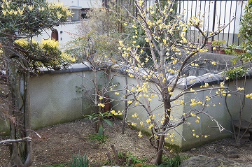 e0206490_1844855.jpg