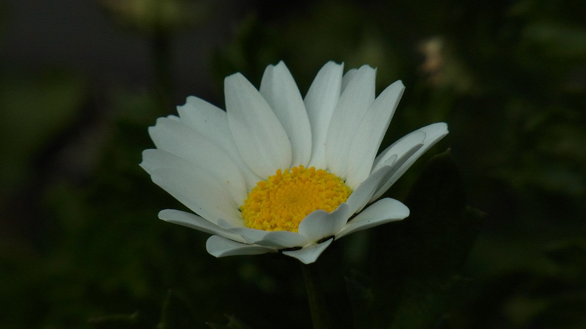 a0152692_2035122.jpg