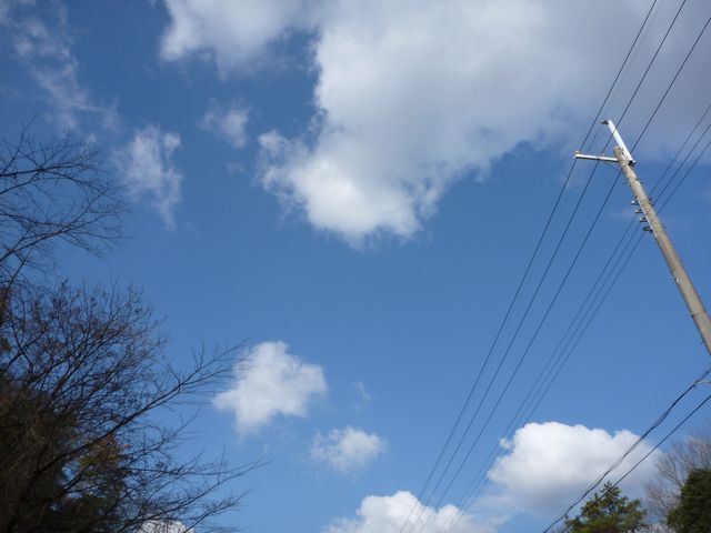 b0190092_2024444.jpg