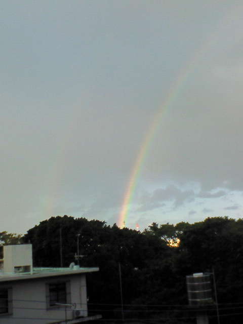 c0193396_12304094.jpg