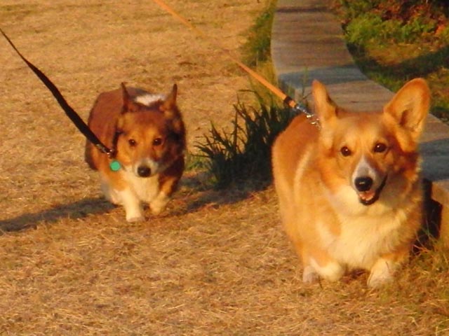 f0077097_1844494.jpg