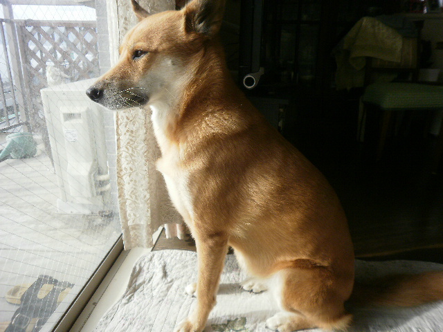 a0053598_20585091.jpg