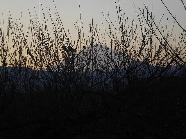 a0053598_21334333.jpg