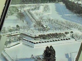 d0135801_22252425.jpg