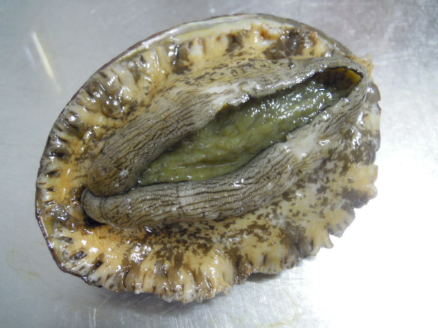 e0028505_519035.jpg