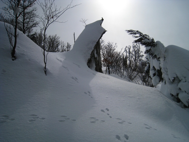 a0097006_2249331.jpg