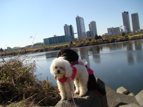 e0211806_0395117.jpg