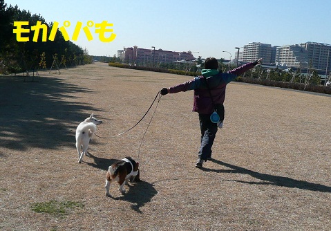f0121712_12525100.jpg