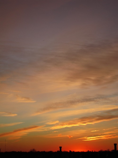 c0120817_73125.jpg