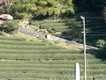 日帰りの旅 焼津 その3_d0113725_0302357.jpg