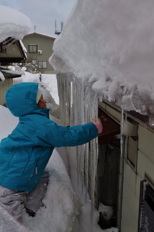 雪やこんこん_b0171231_15303098.jpg