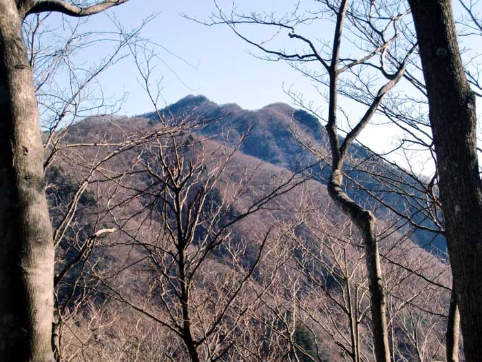 滝子山を眺めながら　お坊山。_d0000031_1017162.jpg