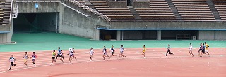 c0070439_18385275.jpg