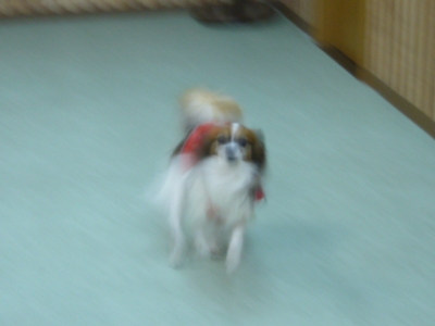 e0100046_2055744.jpg