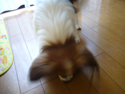 e0100046_21114039.jpg