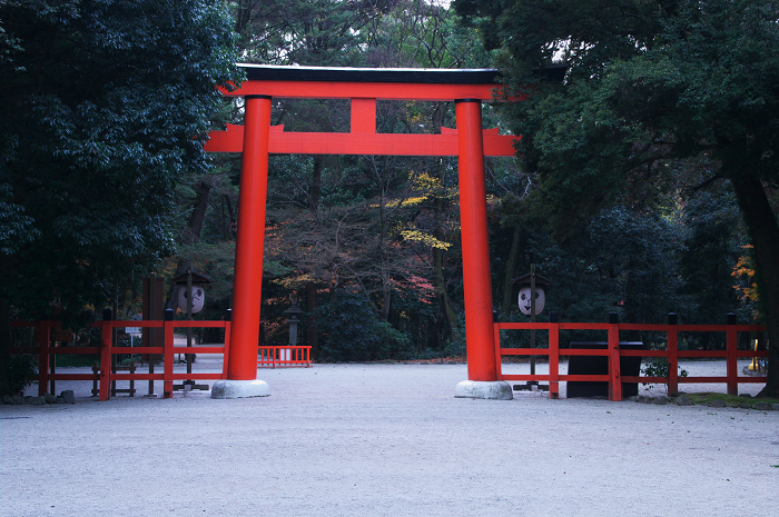 フィナーレ!京都の秋2010(下鴨神社・前編)_f0155048_0878.jpg