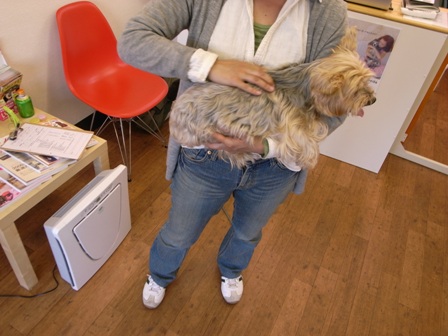 e0138549_921061.jpg