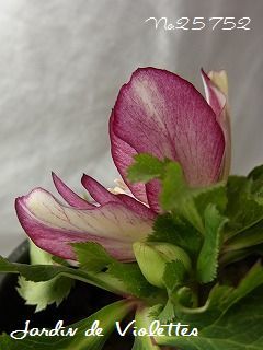 e0118257_17481390.jpg