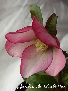 e0118257_1752171.jpg