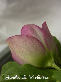 e0118257_17535518.jpg