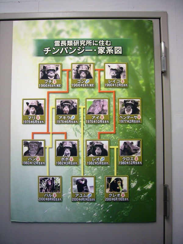 京都大学霊長類研究所第回市民公開日 訪問者数 約十数人 日の零細ブログ ね S Weblog 京都大学霊長類研究所第回市民公開日 訪問者数 約十数人 日の零細ブログ ね S Weblog