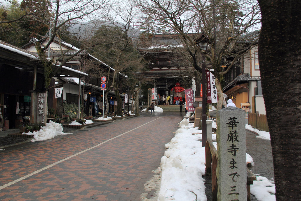 　　谷汲山華厳寺の赤鬼_f0129465_10395396.jpg