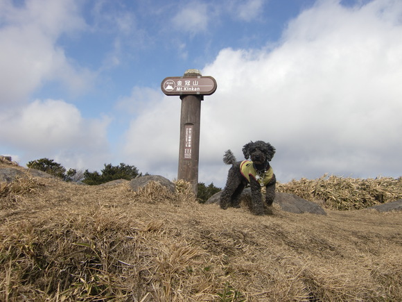 金冠山と達磨山_a0109467_13344376.jpg