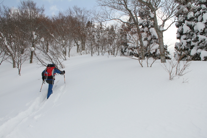 1月23日　白木峰_f0223068_169034.jpg