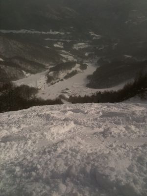 f0233068_2054812.jpg