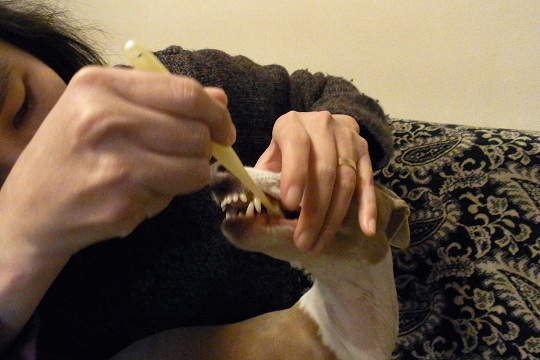 e0062371_20132814.jpg