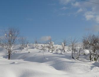 c0175679_118967.jpg