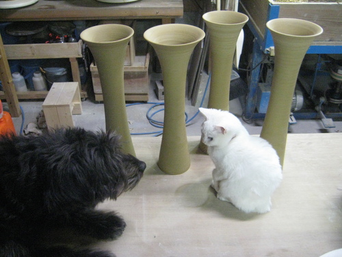 すこし日曜大工と削り作業。_d0195183_2171669.jpg