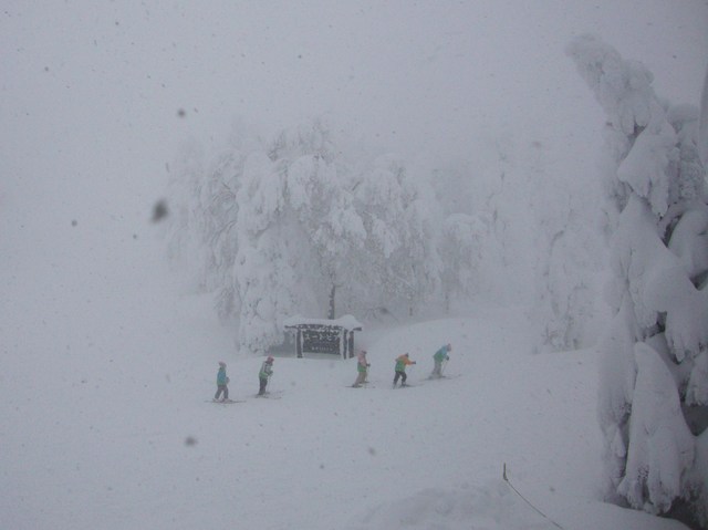 かぼ父さん一人旅 2011_a0126590_2129395.jpg