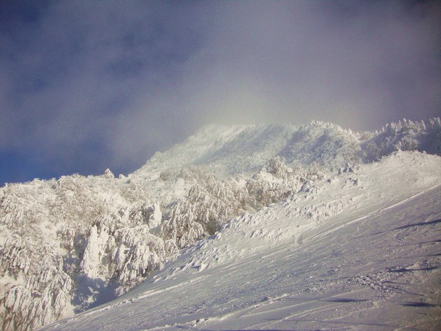 かぼ父さん一人旅 2011_a0126590_21482926.jpg