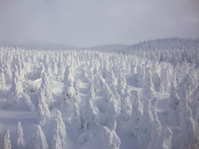 かぼ父さん一人旅 2011_a0126590_21494231.jpg