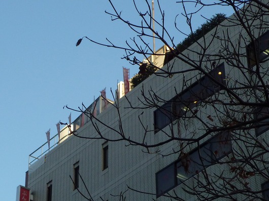 e0196993_431313.jpg