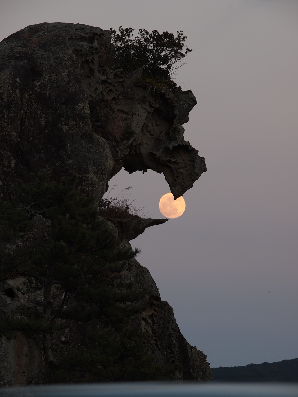 獅子岩と満月_d0020300_0391385.jpg