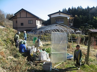 【友部その１】ビニールハウスの張替えと冬野菜の収穫_c0017505_10543975.jpg