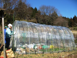 【友部その１】ビニールハウスの張替えと冬野菜の収穫_c0017505_1102225.jpg