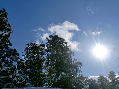 c0118011_1624776.jpg