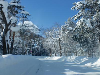 c0118011_1654364.jpg