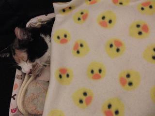 c0201113_17504650.jpg
