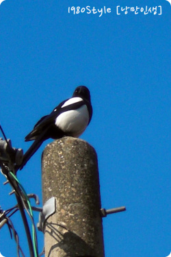 c0158014_15301760.jpg