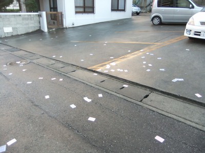 道路に‥？_f0178416_8441575.jpg