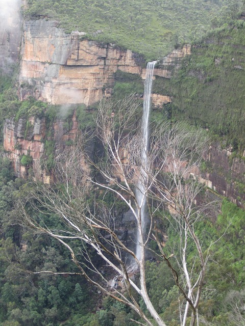 f0207320_16221837.jpg