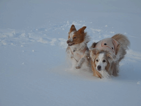 c0116921_22455657.gif