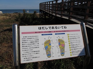 2011.1.23　鹿島灘海浜公園_e0202031_9441467.jpg